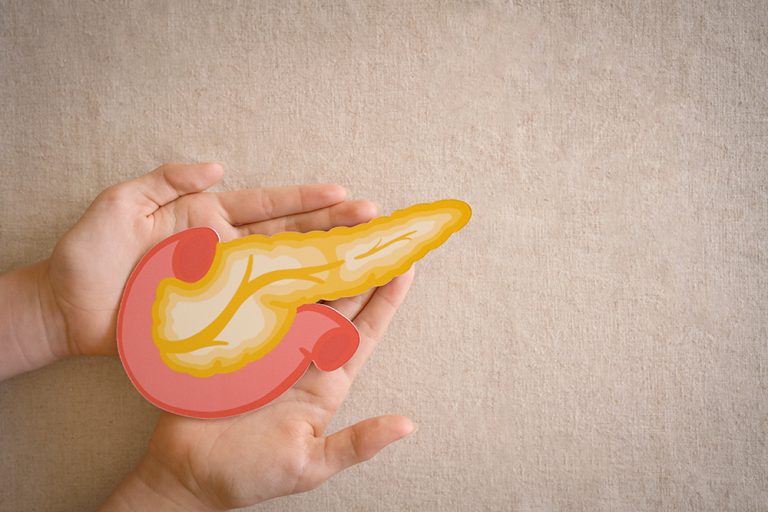 Illustration of the pancreas held in hands for pancreatic cancer awareness