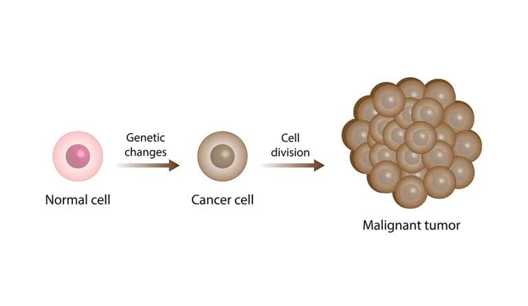 Diagram illustrating genetic mutations and cell division in pancreatic cancer development