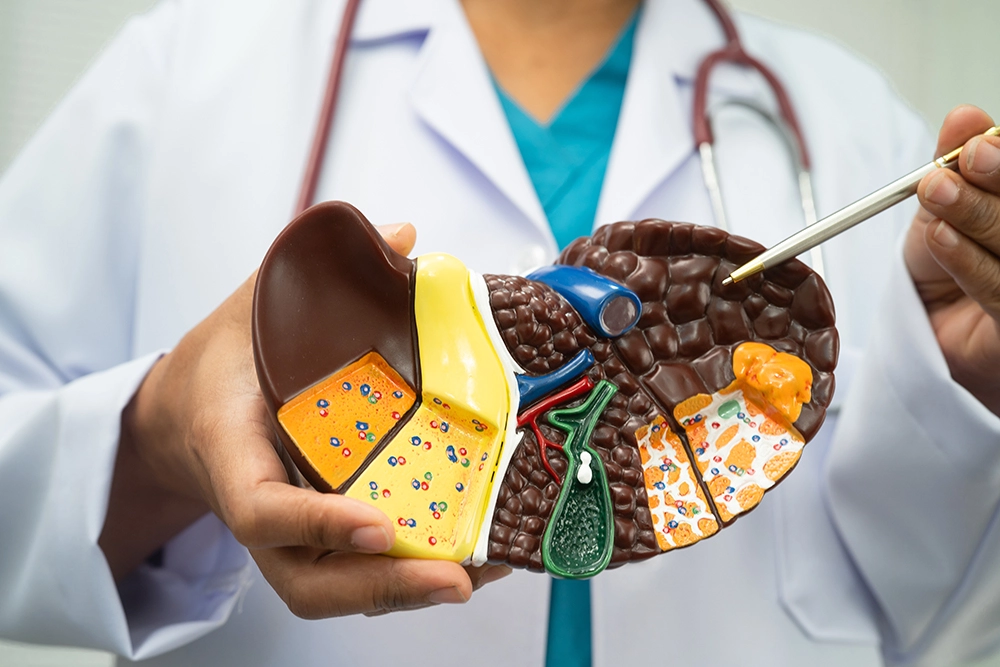 "Liver surgery cost spectrum Singapore from biopsy to transplant with TOSP codes and MediSave status